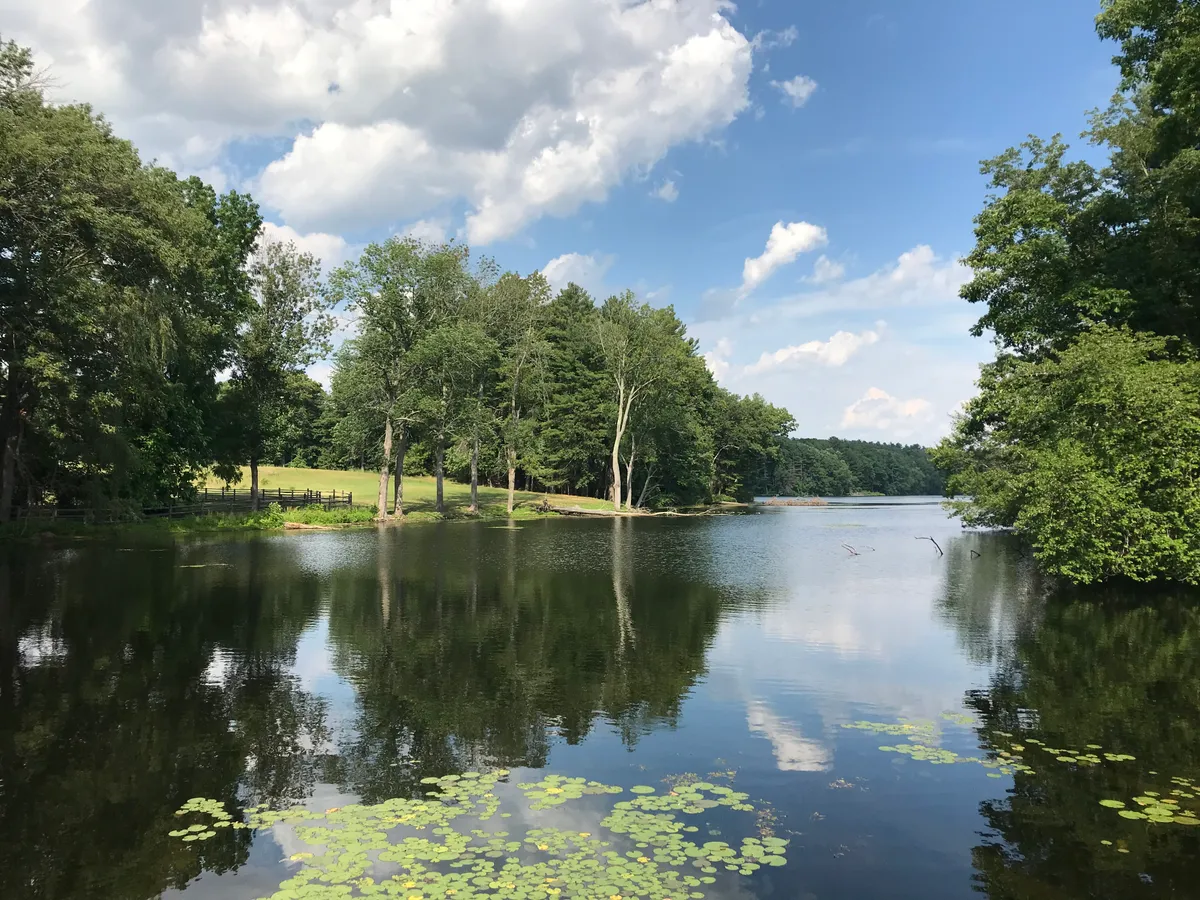Lincoln MA
Farrar Pond Lincoln MA